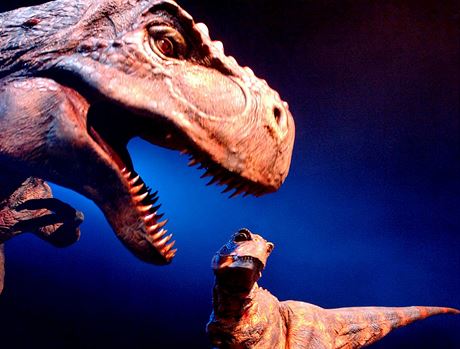 Kanibalismus je podle vdc bný, nebyl by proto pekvapivý ani u Tyrannosaura rexe. Ilustraní foto.
