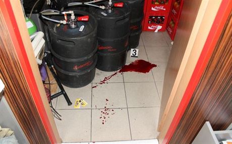 Barmanku v baru v brnnských Bohunicích napadl v pátek 4. ervence neznámý...