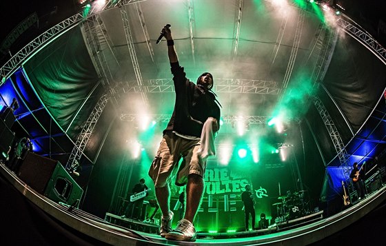 Irie Révoltés hráli na Mighty Sounds u ped 11 lety.