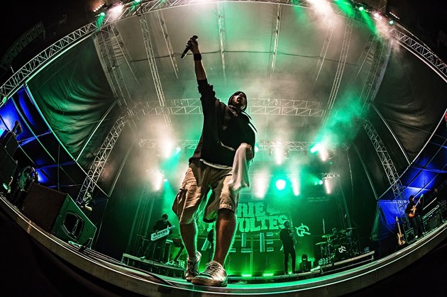 Nmecká kapela Irie Révoltés (Mighty Sounds 2014)