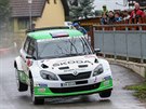 Fabia S2000 na Rally eský Krumlov 2014. Posádka Jan Kopecký - Pavel Dresler...