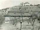 Vininí domek na historické fotografii z roku 1967.