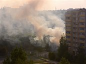 Valící se kou vypadal na daleko vtí netstí. lo ale jen o hoící tje,...