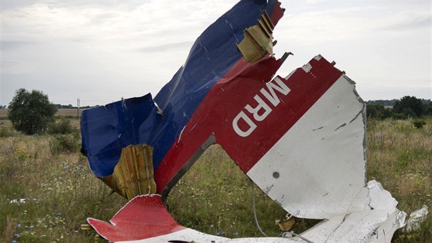 Část malajsijského letounu, který byl sestřelen na východě Ukrajiny (19. července 2014)