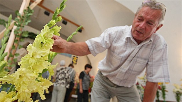 Na zámku v Žirovnici se koná výstava květin, hlavně pak lilií. Na snímku jsou mečíky od pěstitele Jaroslava Kovaříka.