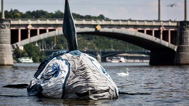 Na Vltavu byla v sobotu jako soust umleckho projektu ern MOE sputna desetimetrov velryba vytvoen z recyklovanho odpadu.