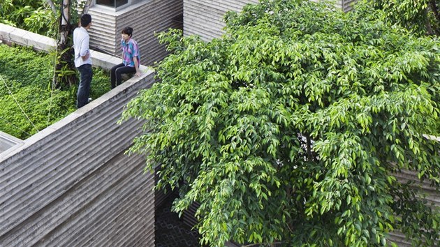 Střecha Domu pro stromy dokáže během tropických dešťů zadržet velké množství vody, díky tomu se pozemek nezatopí.