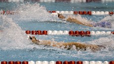 Michael Phelps (vlevo) a Ryan Lochte na mítinku v Athens na znakaské stovce. 