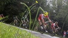 ZAKRYTÝ KVTINOU. Nicolas Edet ve sjezdu v deváté etap Tour de France. 