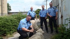 Karlovar�tí strá�níci zajistili ovce z N�mecka, které se toulaly v Bohaticích.