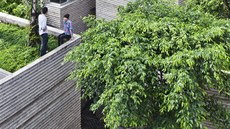 Střecha Domu pro stromy dokáže během tropických dešťů zadržet velké množství...