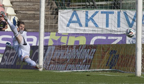 Píbramský branká Marek Bohá sice v tuto chvíli inkasoval, jinak ale pilné sbírá istá konta.