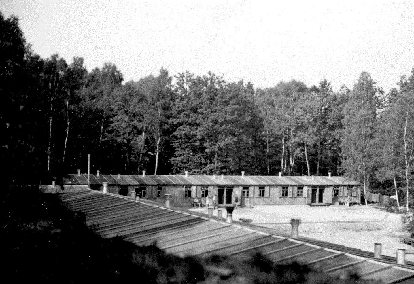 Mezi lety 1940 a 1945 vyrostly na místech starých hn�douhelných dol� ob�í...