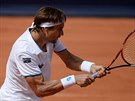 panlský tenista David Ferrer odvrací úder Leonardo Mayery ve finále turnaje v...