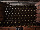 Vinotéka vinice sv. Kláry v praské Troji
