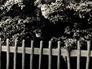 Don McCullin: Thomasova zvtenina fotografie v parku z filmu