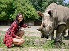 Monika Leov se samic nosoroce severnho blho Nabir. Ta dosud ije v zoo...