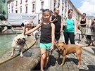 Pochod silných ps centrem Olomouce (26. 7. 2014).