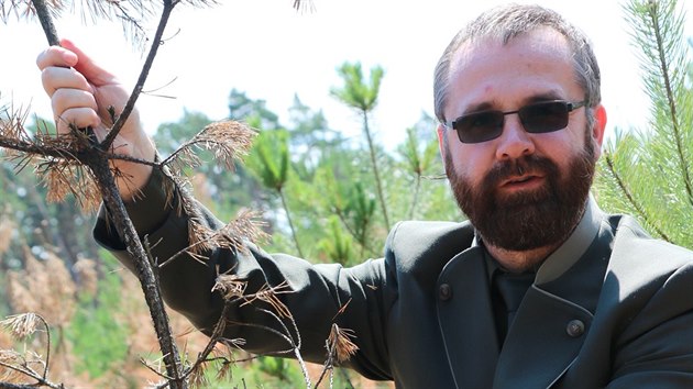 Nejdv zniily stromy plameny, te trp lesnky ponravy chrousta. Na snmku Ladislav Plpn z Les R.