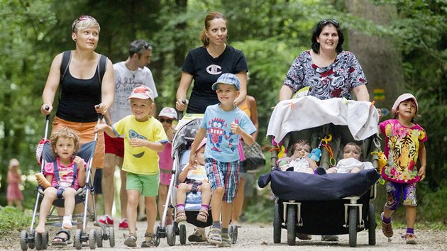 Vodnick stezka u rybnku Byika v Hradci Krlov.