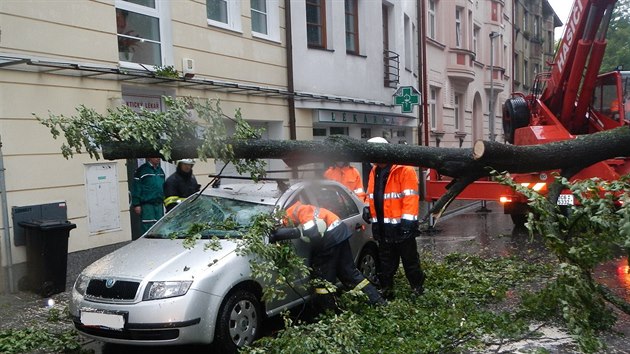 V eskch Budjovicch spadly stromy na dv vozidla.