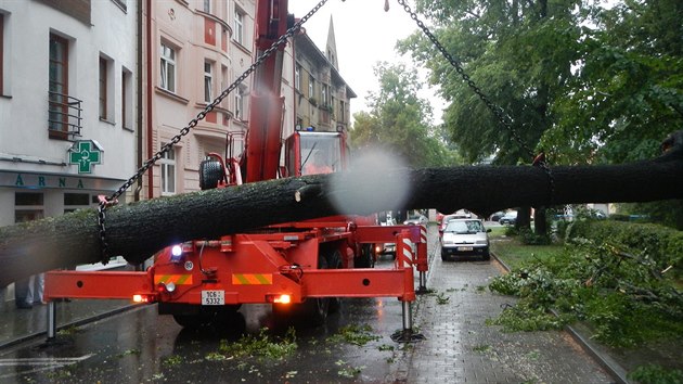 V eskch Budjovicch spadly stromy na dv vozidla.