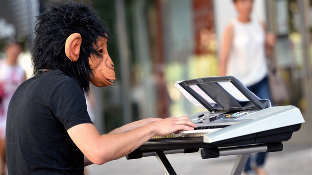 Opice hraje na klávesy
