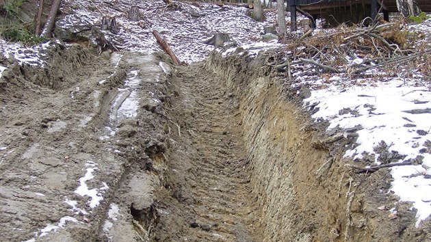 Obyvatel Machovsk Lhoty na Nchodsku si stovali na necitliv zsahy v lese v zim 2013/2014.