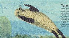 Ukázka u knihy jak zví�ata spí