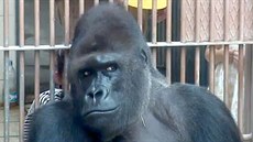 Richard nemá problémy s tím, vyjít chovatel�m vst�íc. O�ekává za to odm�nu. 