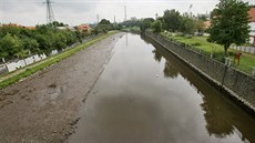 Pracovníci Povodí Vltavy a rybái z eky Me vylovili vzácné mihule a vranky.