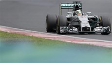 Britský pilot Lewis Hamilton letí v Maarsku z konce startovního pole a na...