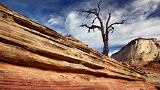 Zion, USA. Z výstavy Zázraky pírody