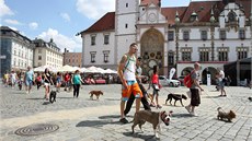 Pochod silných ps centrem Olomouce (26. 7. 2014).