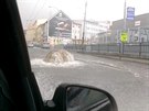 Záplavy v Brn