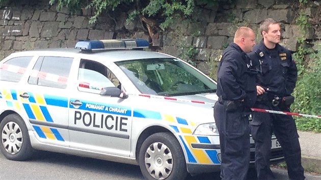 Policist zadreli enu, kter v praskm Motole unesla tmsn dt (31. ervence 2014).