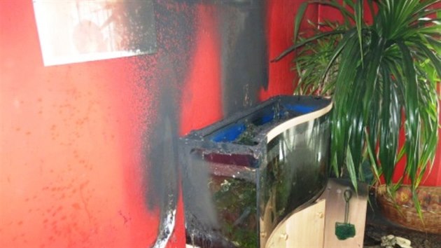 V obývacím pokoji rodinného domu začalo hořet od elektrické šňůry vedoucí k akváriu (29. července 2014).