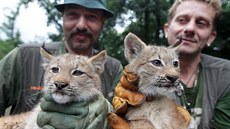 V brn�nské zoo absolvovala 31. �ervence první veterinární prohlídku �ty��ata...