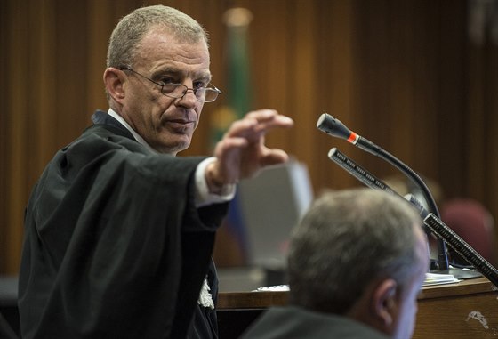 Hraje si na ob, bouil alobce na závr procesu s Pistoriusem (7. srpna)