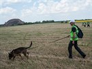 Mezinárodní experti na míst pádu malajsijského boeingu na východ Ukrajiny (5....