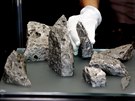 Kyleovické meteority opatruje Slezské zemské muzeum.