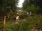 U obce Lipová-Se na Prostjovsku spadlo na silnici asi 20 strom. Zpsobily i