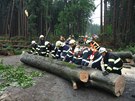 U obce Lipová-Se na Prostjovsku spadlo na silnici asi 20 strom. Zpsobily i