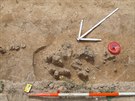 Archeologové ve Vojenicích na Rychnovsku našli pohřebiště se stovkami hrobů.