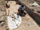 Archeologové ve Vojenicích na Rychnovsku nali pohebit se stovkami hrob.