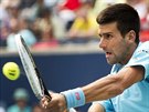 Novak Djokovi na turnaji v Torontu