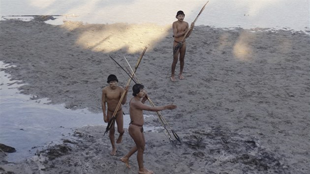 Členové dosud nekontaktovaného kmene stojí na břehu amazonské řeky Enviry. Krátce předtím se vynořili z hustého pralesa.