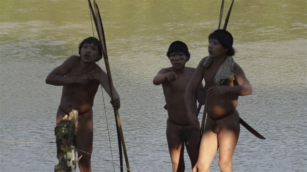 Členové dosud nekontaktovaného kmene stojí na břehu amazonské řeky Enviry. Krátce předtím se vynořili z hustého pralesa.