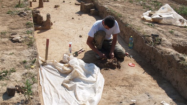 Archeologov ve Vojenicch na Rychnovsku nali pohebit se stovkami hrob.