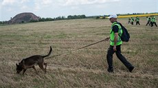 Mezinárodní experti na míst pádu malajsijského boeingu na východ Ukrajiny (5....